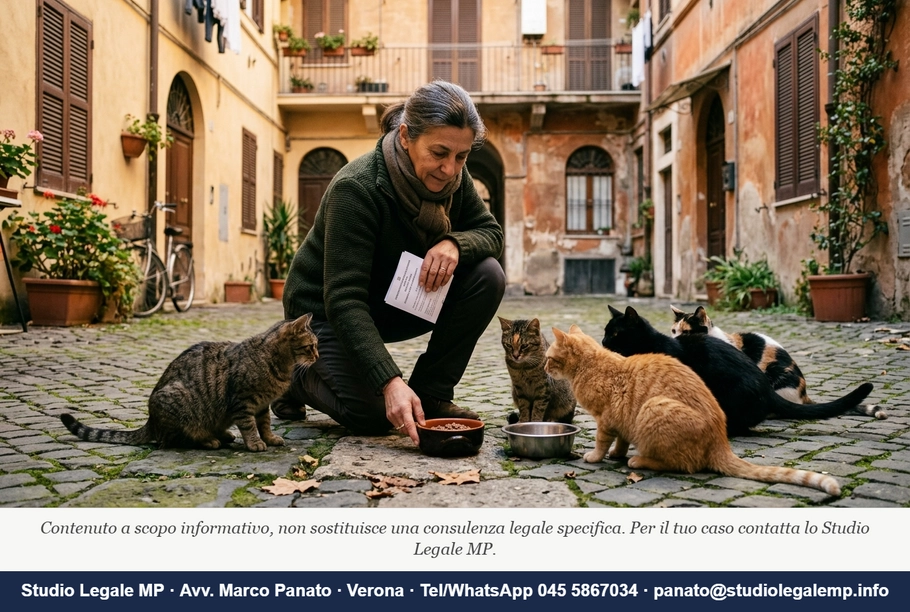 Gattaro e colonia felina: quando il volontario rischia - Studio Legale MP - Verona