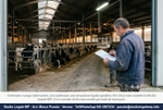 Allevatori e 231: cosa rischiano dopo la legge 82/2025? - Studio Legale MP - Verona
