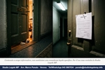 Animali in condominio: divieto nullo o valido? - Studio Legale MP - Verona